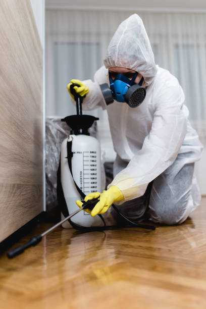 Best Residential Pest Control  in Independence, LA